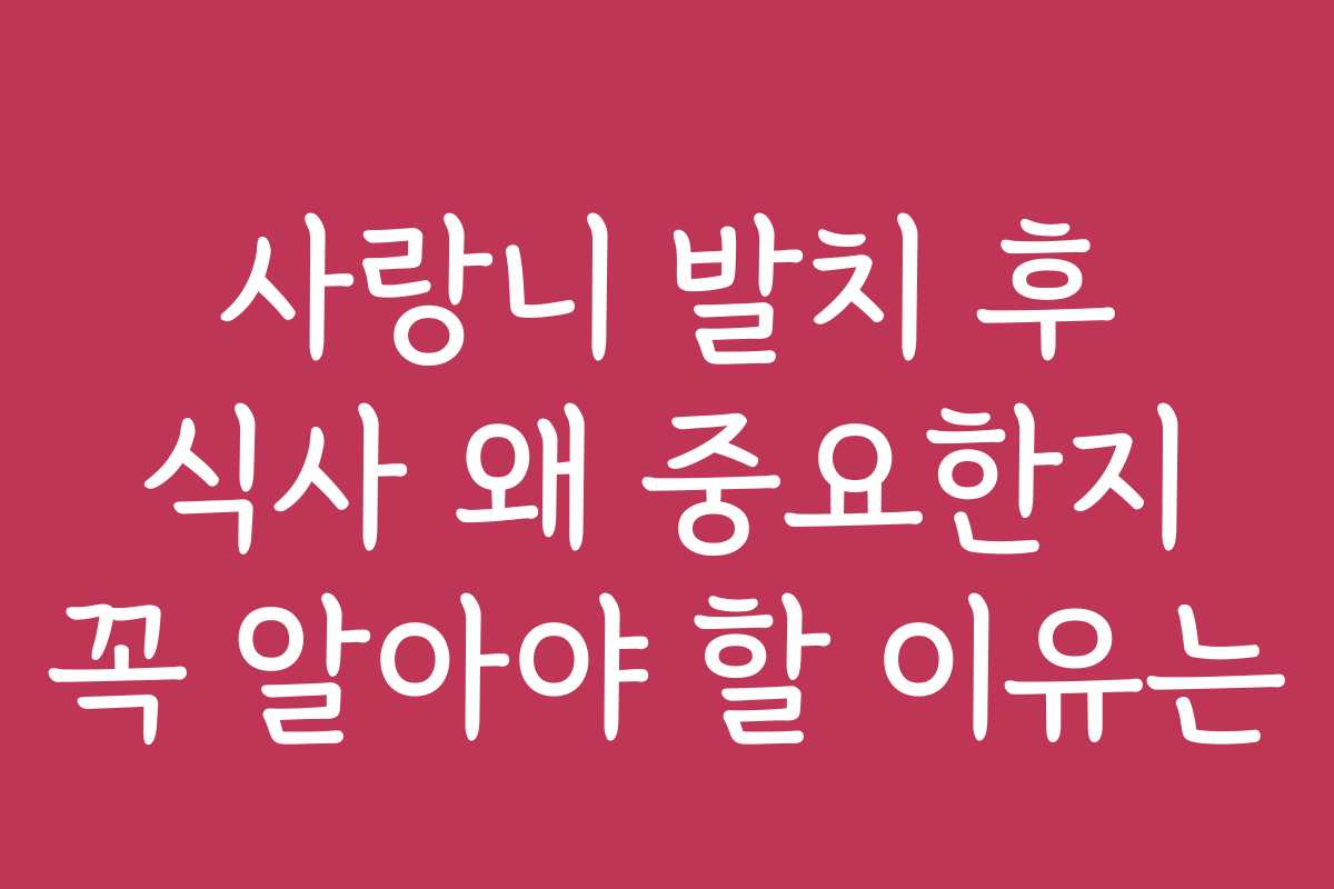 사랑니 발치 후 식사 왜 중요한지 꼭 알아야 할 이유는