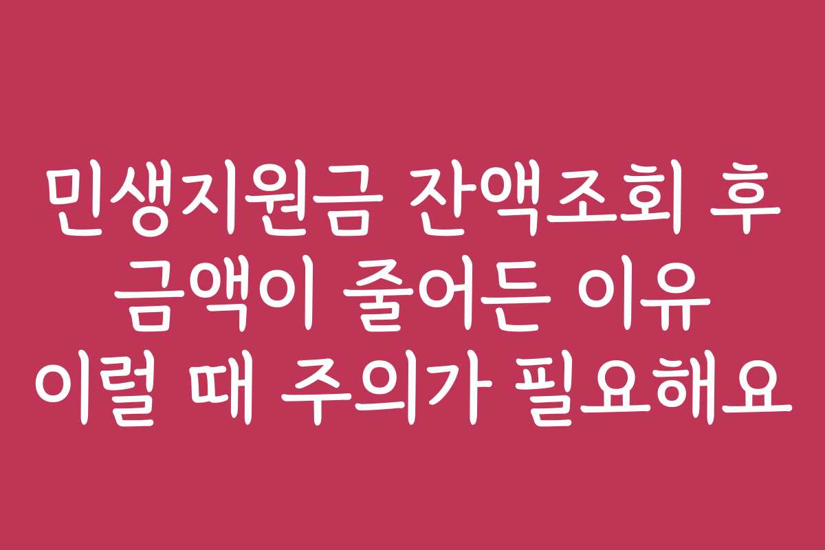 민생지원금 잔액조회 후 금액이 줄어든 이유 이럴 때 주의가 필요해요