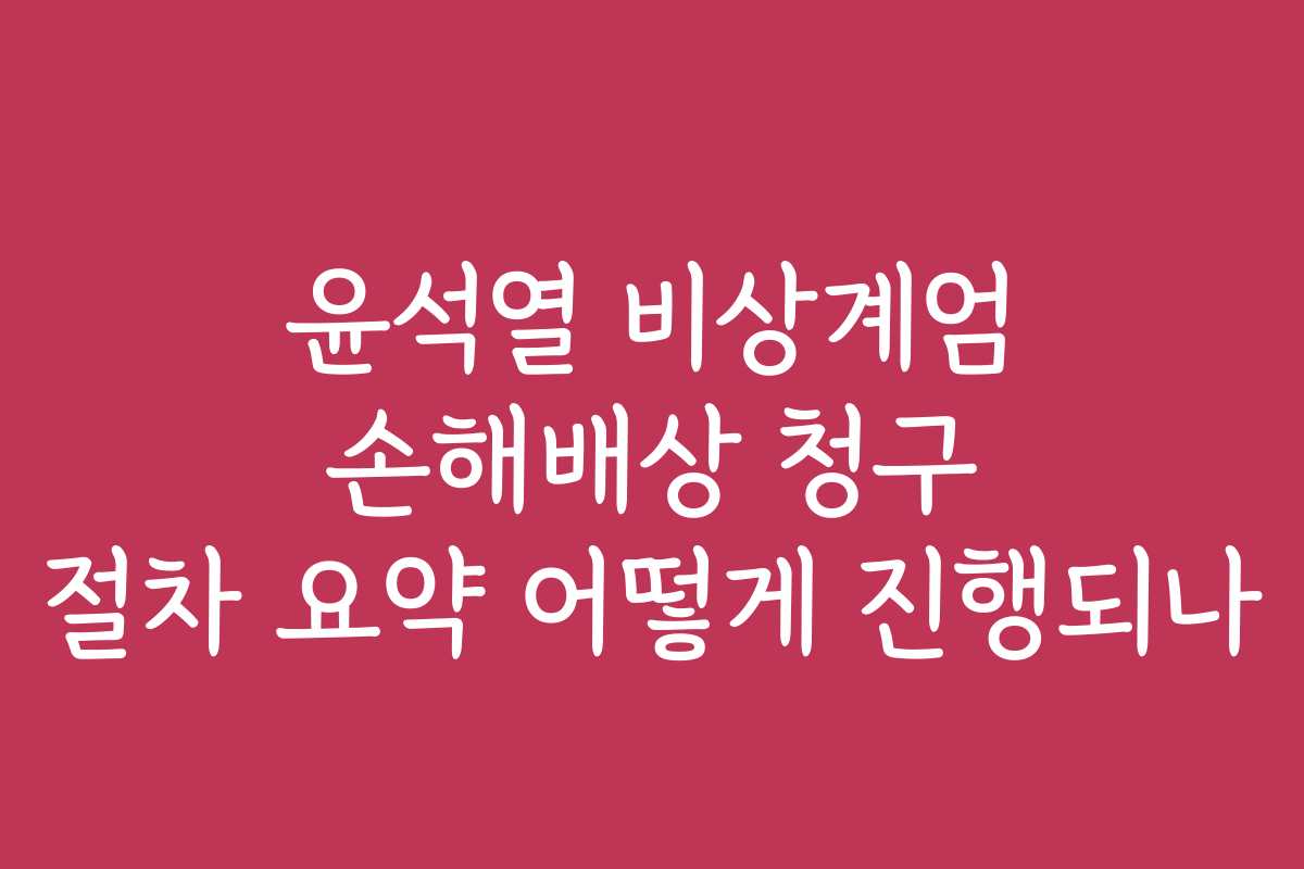 윤석열 비상계엄 손해배상 청구 절차 요약 어떻게 진행되나
