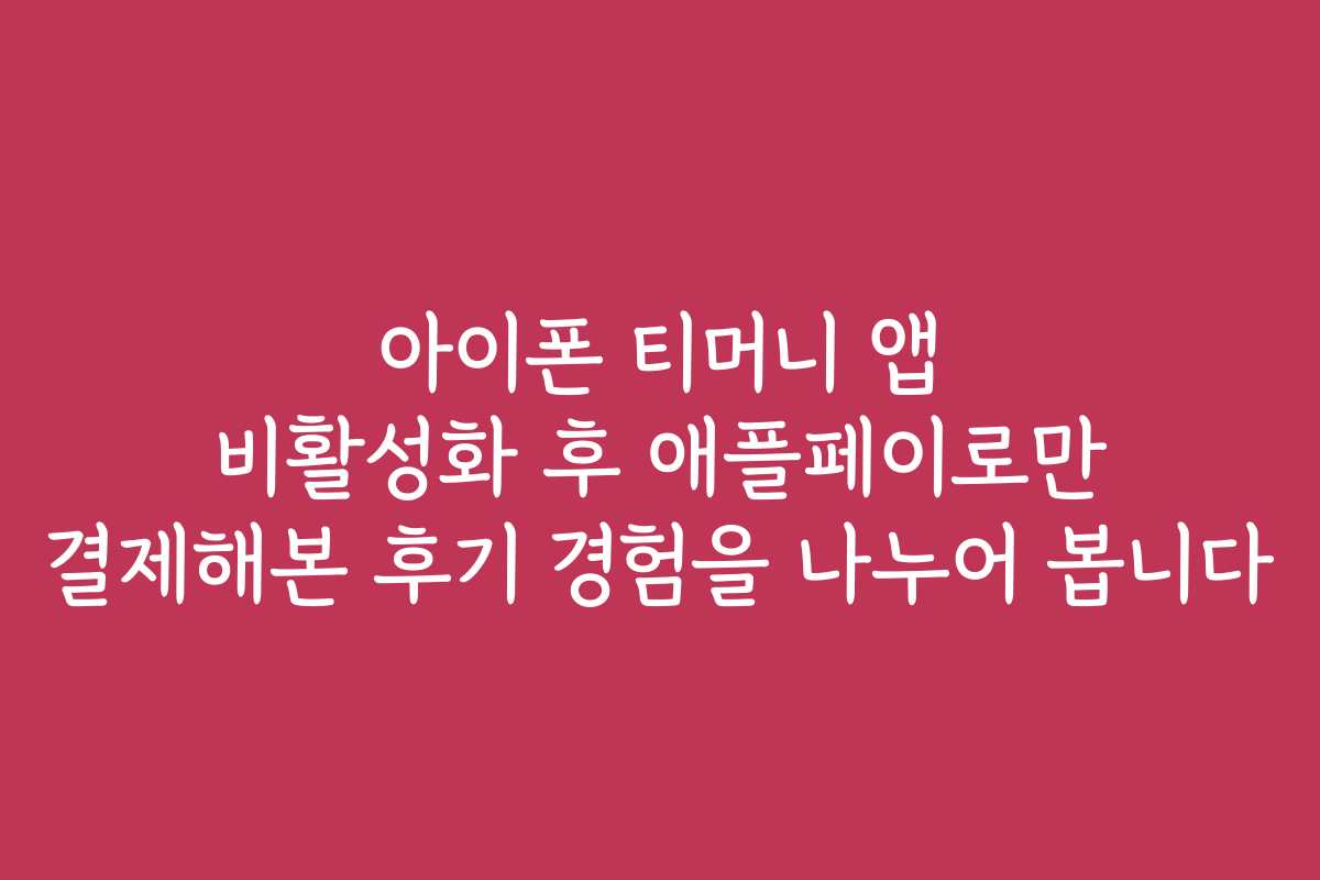 아이폰 티머니 앱 비활성화 후 애플페이로만 결제해본 후기 경험을 나누어 봅니다