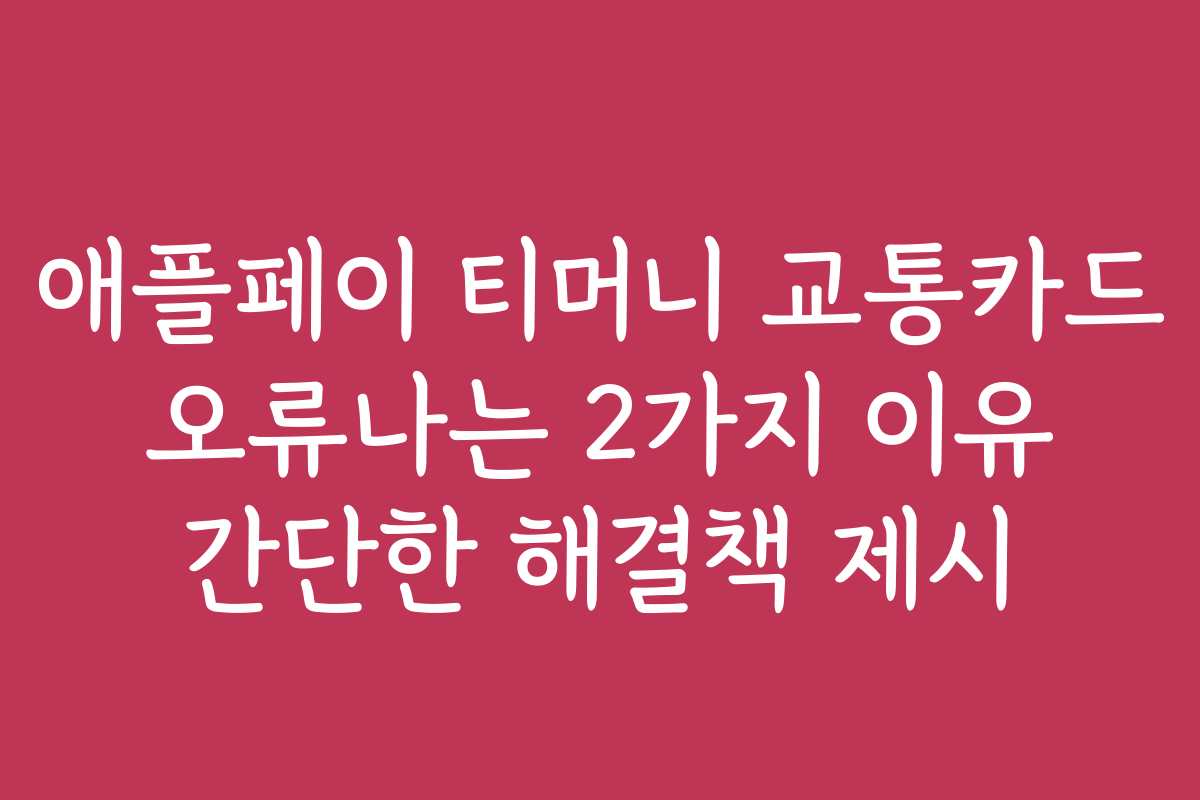 애플페이 티머니 교통카드 오류나는 2가지 이유 간단한 해결책 제시