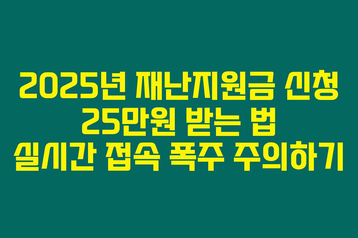 2025년 재난지원금 신청 25만원 받는 법 실시간 접속 폭주 주의하기