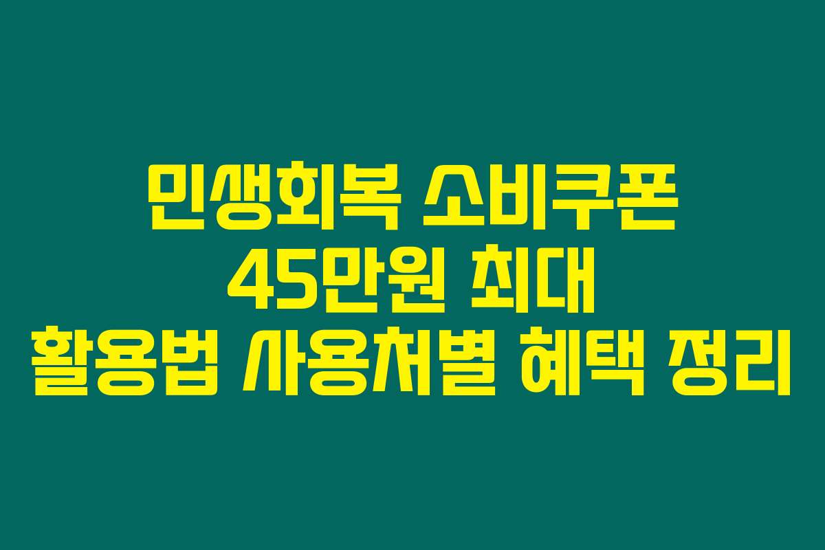 민생회복 소비쿠폰 45만원 최대 활용법 사용처별 혜택 정리