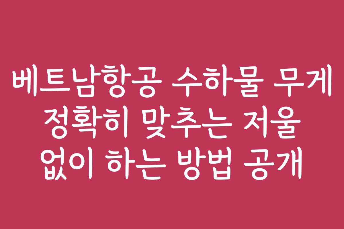 베트남항공 수하물 무게 정확히 맞추는 저울 없이 하는 방법 공개