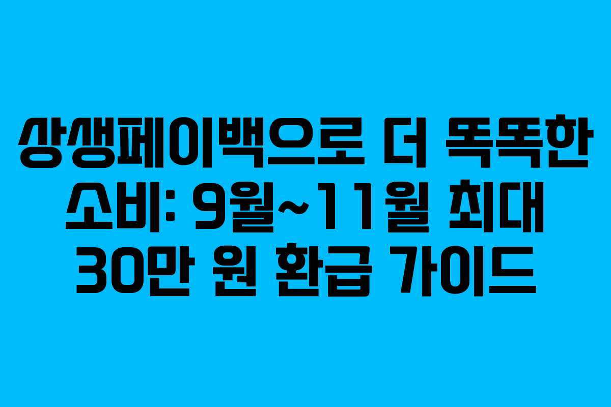 상생페이백으로 더 똑똑한 소비: 9월~11월 최대 30만 원 환급 가이드