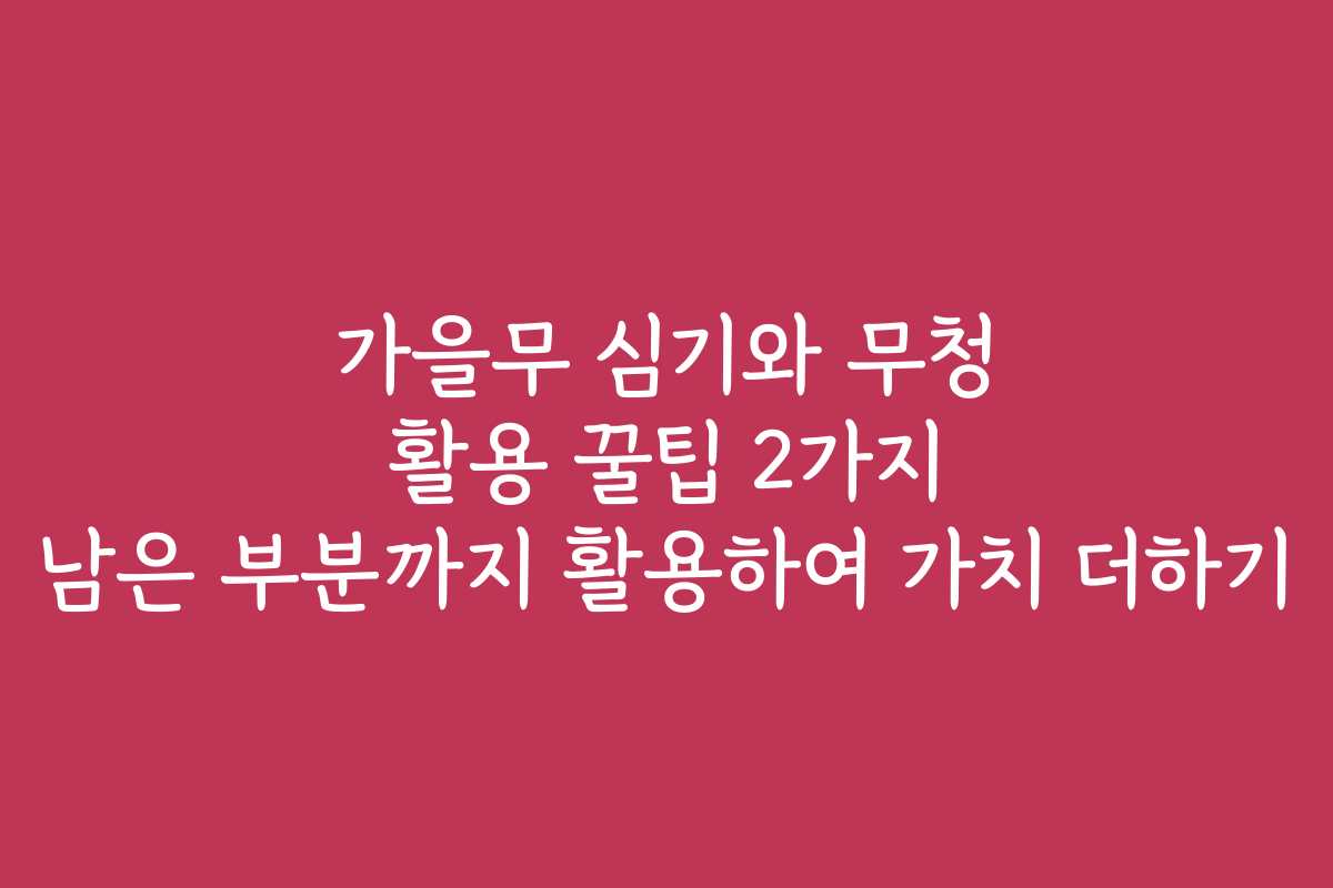 가을무 심기와 무청 활용 꿀팁 2가지 남은 부분까지 활용하여 가치 더하기