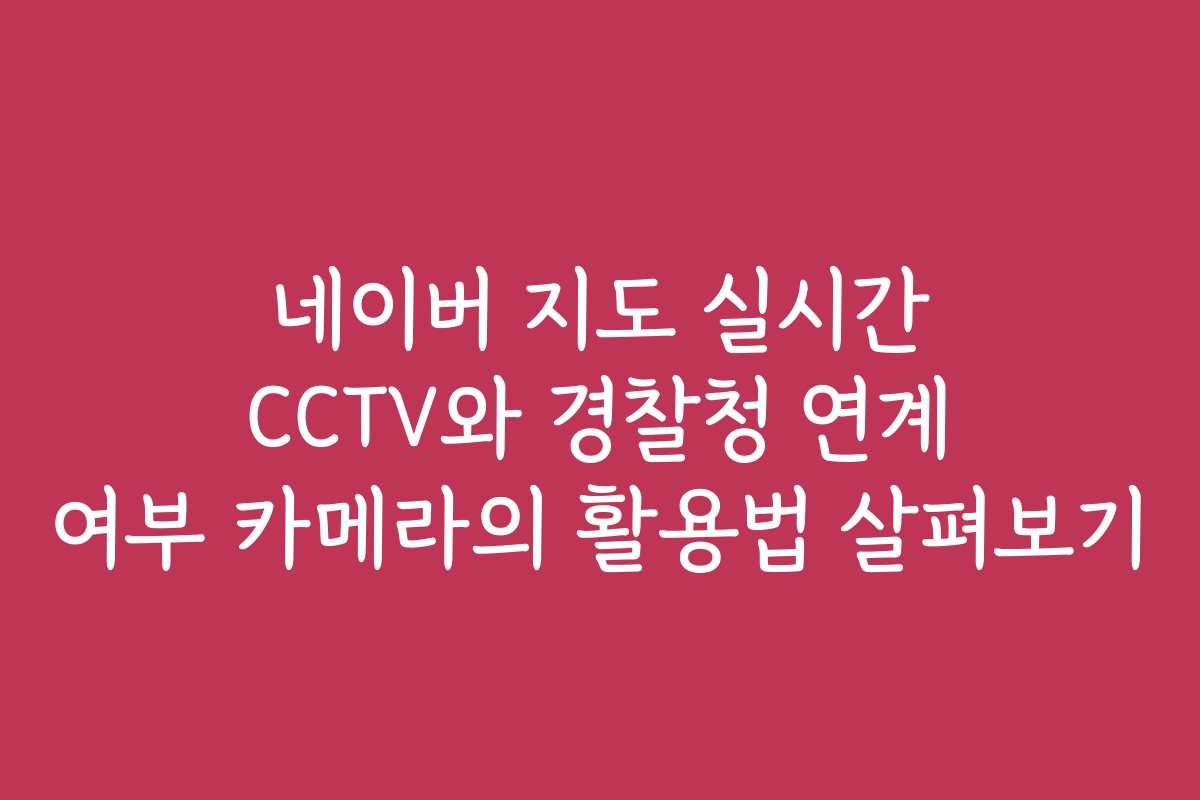네이버 지도 실시간 CCTV와 경찰청 연계 여부 카메라의 활용법 살펴보기