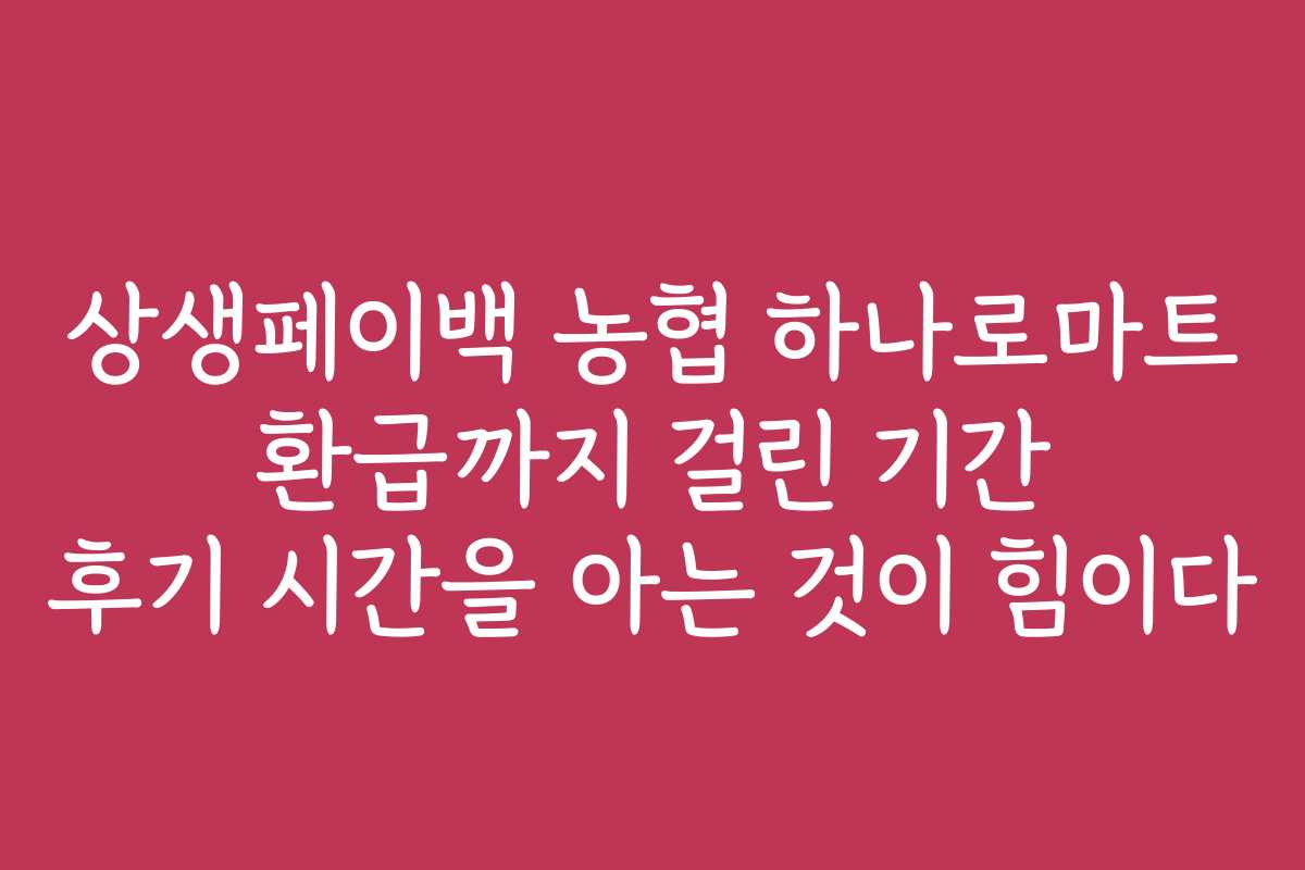 상생페이백 농협 하나로마트 환급까지 걸린 기간 후기 시간을 아는 것이 힘이다