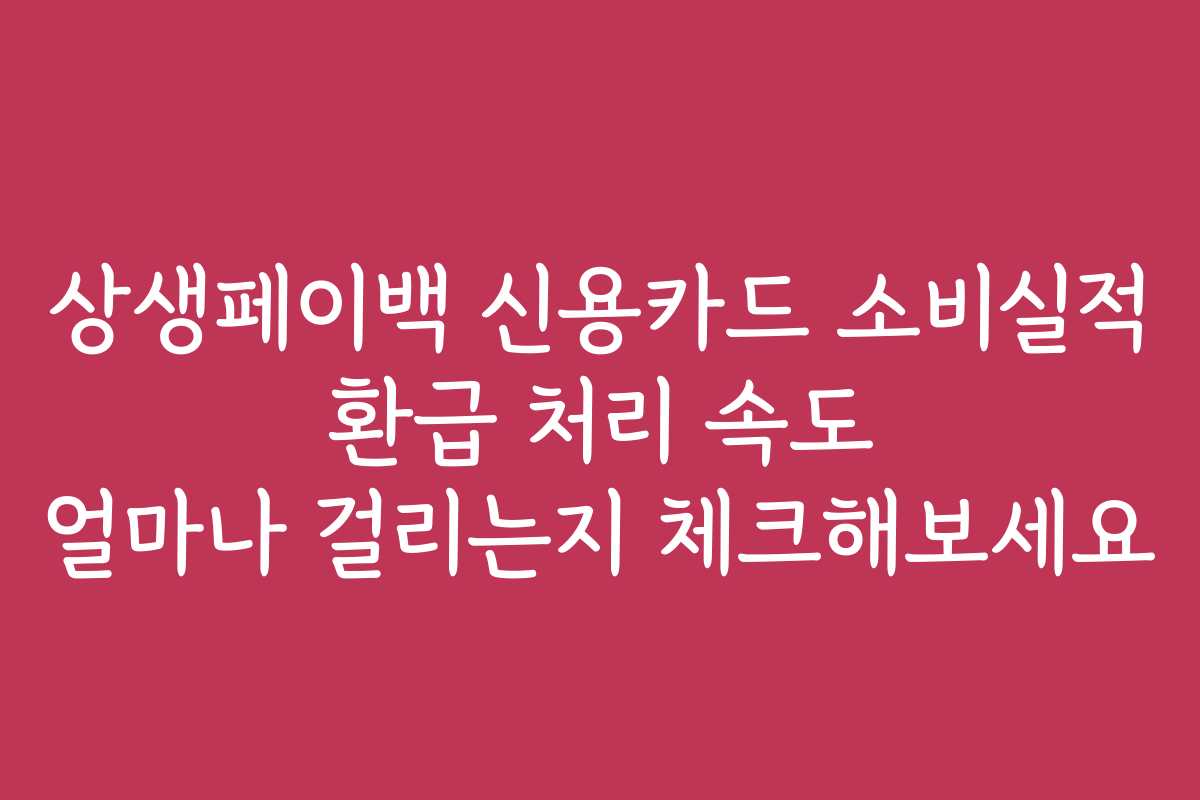 상생페이백 신용카드 소비실적 환급 처리 속도 얼마나 걸리는지 체크해보세요