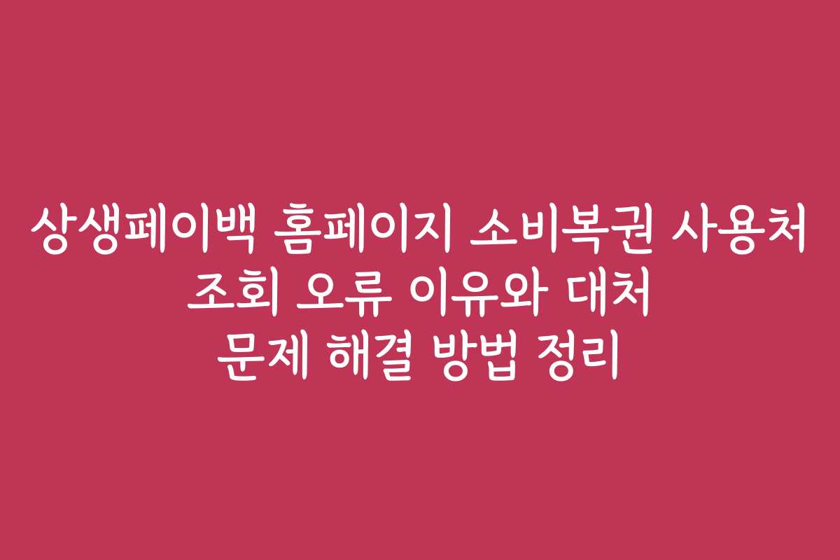 상생페이백 홈페이지 소비복권 사용처 조회 오류 이유와 대처 문제 해결 방법 정리