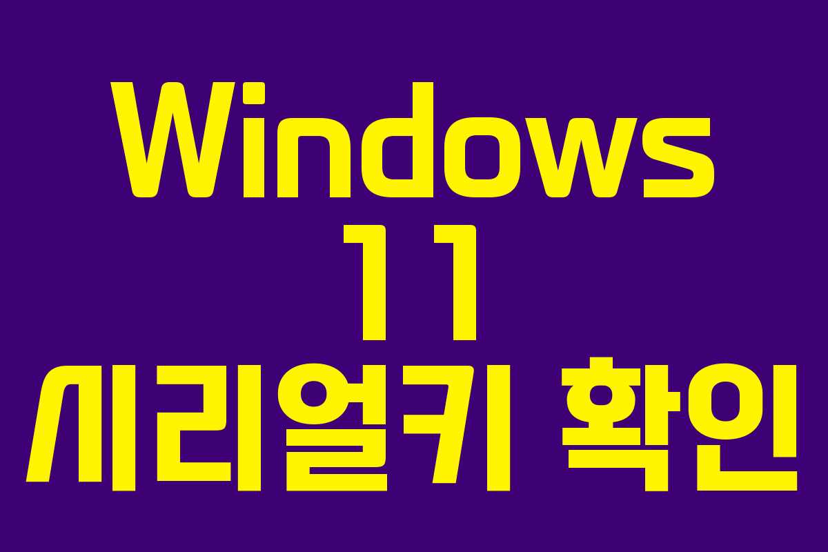 Windows 11 시리얼키 확인