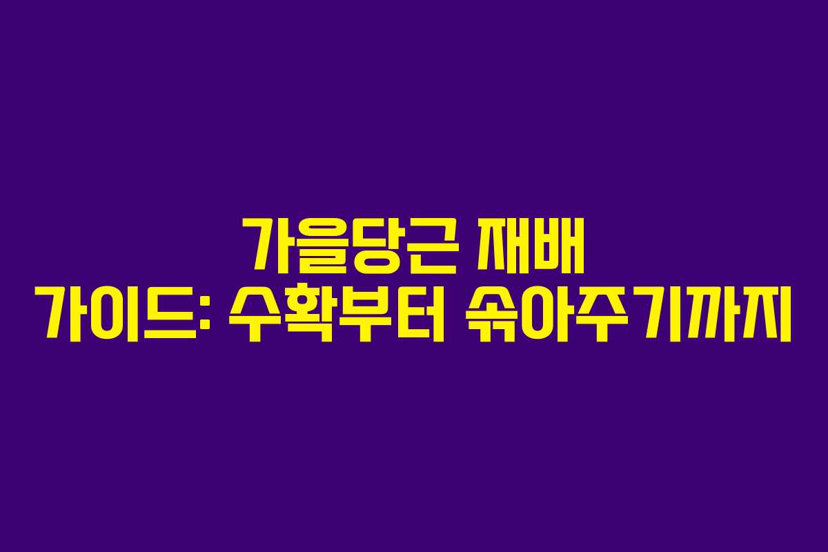 가을당근 재배 가이드: 수확부터 솎아주기까지