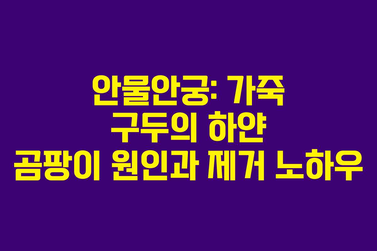 안물안궁: 가죽 구두의 하얀 곰팡이 원인과 제거 노하우