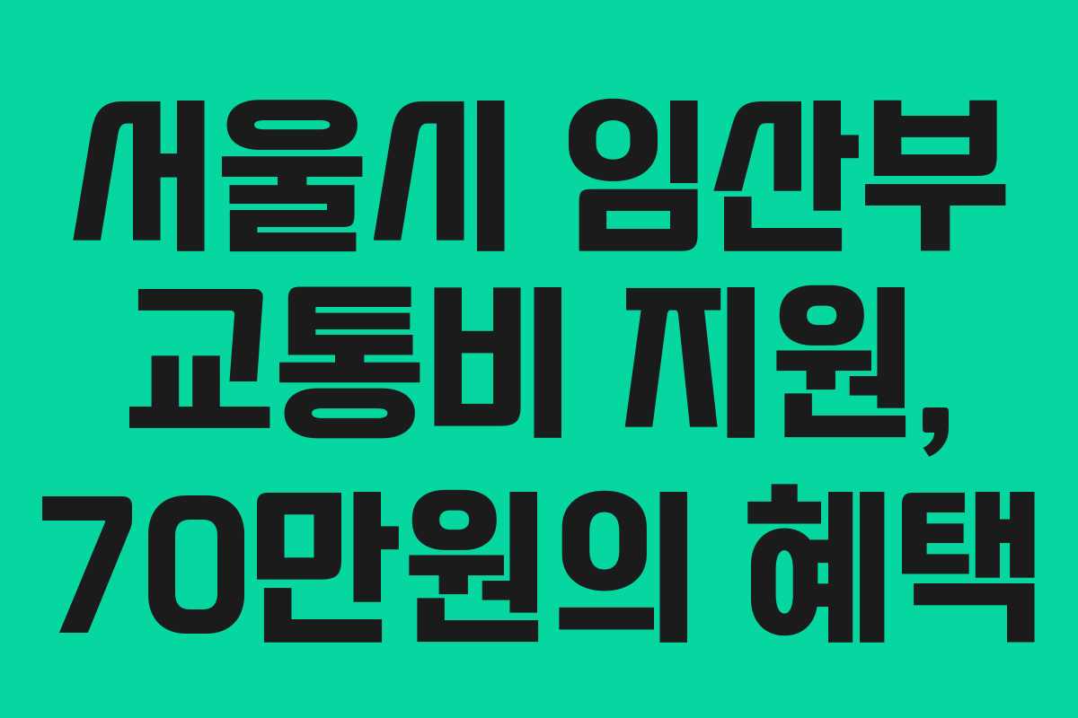서울시 임산부 교통비 지원, 70만원의 혜택