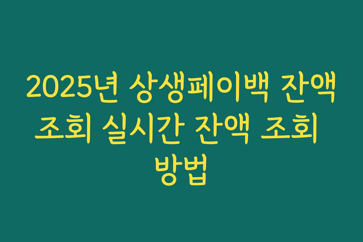 2025년 상생페이백 잔액조회 실시간 잔액 조회 방법