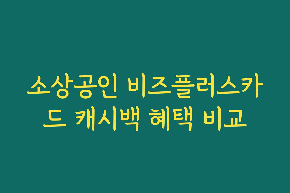 소상공인 비즈플러스카드 캐시백 혜택 비교