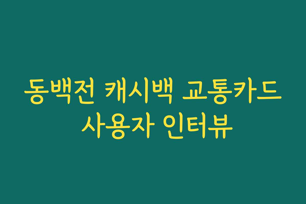 동백전 캐시백 교통카드 사용자 인터뷰 동백전 캐시백 교통카드 사용자 인터뷰