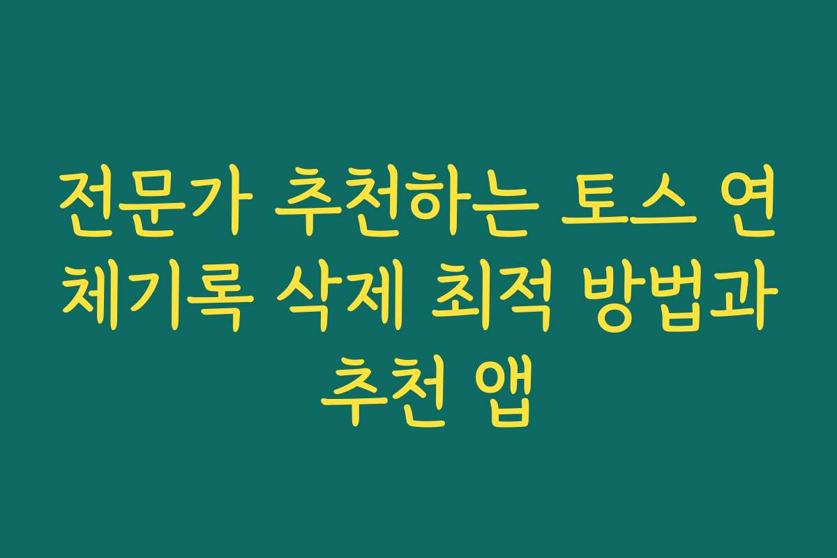 전문가 추천하는 토스 연체기록 삭제 최적 방법과 추천 앱
