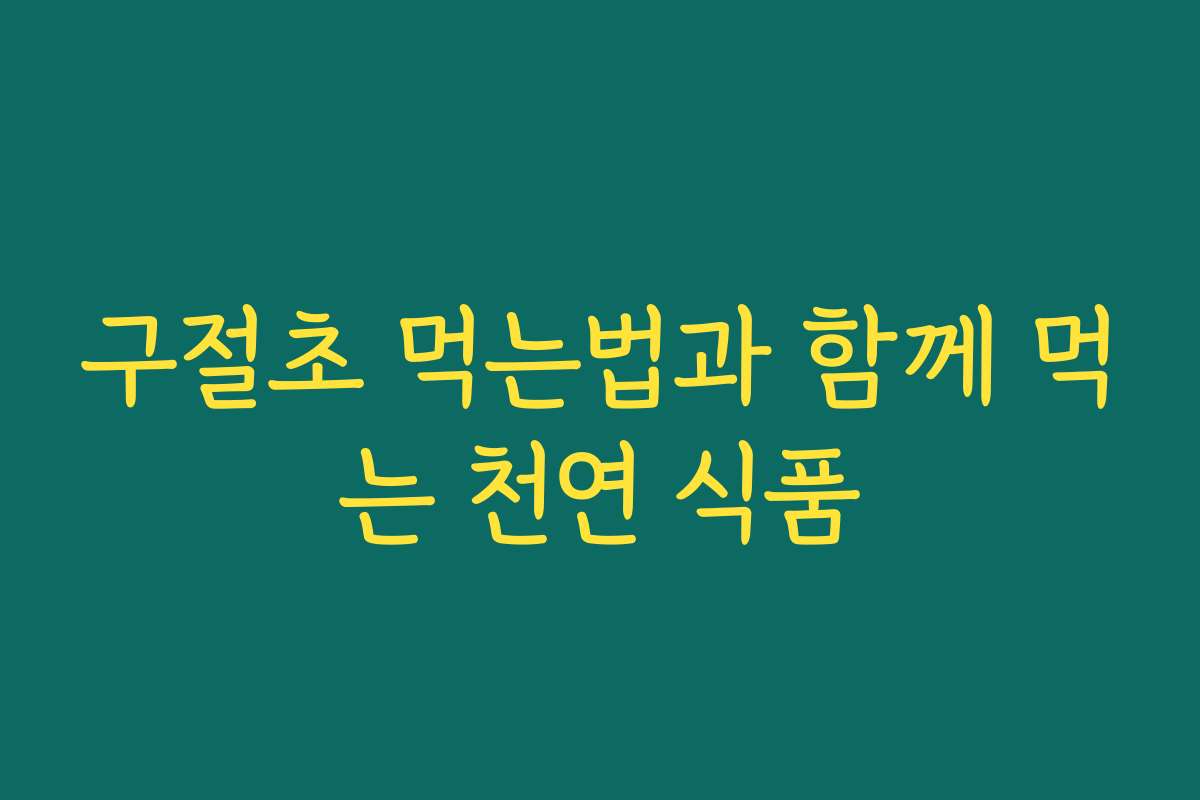 구절초 먹는법과 함께 먹는 천연 식품