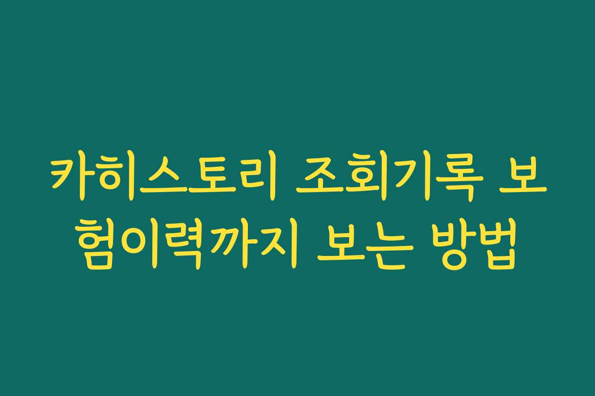 카히스토리 조회기록 보험이력까지 보는 방법 카히스토리 조회기록 보험이력까지 보는 방법