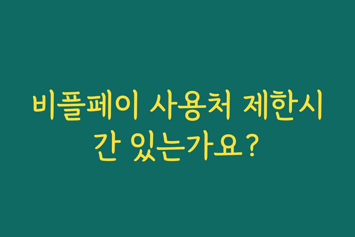 비플페이 사용처 제한시간 있는가요?