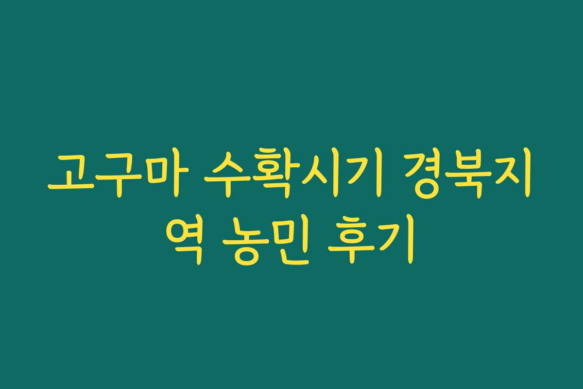 고구마 수확시기 경북지역 농민 후기