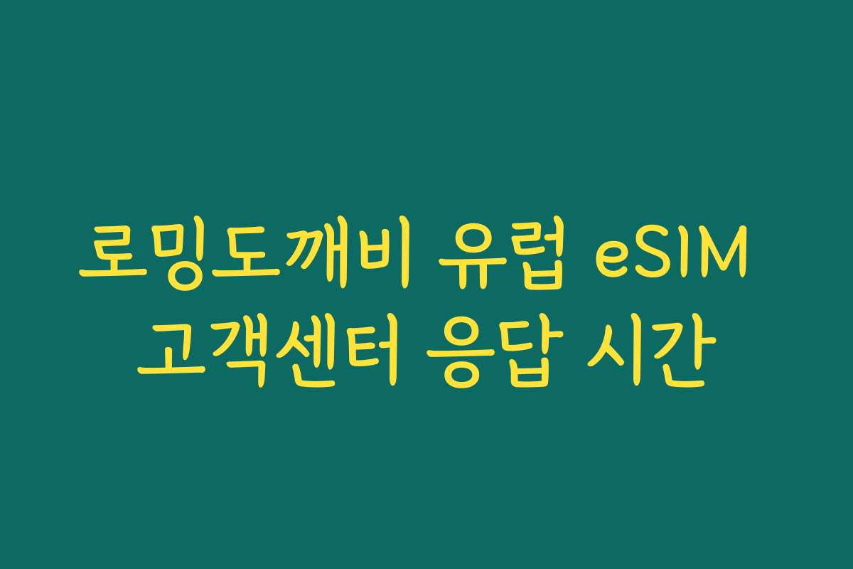 로밍도깨비 유럽 eSIM 고객센터 응답 시간