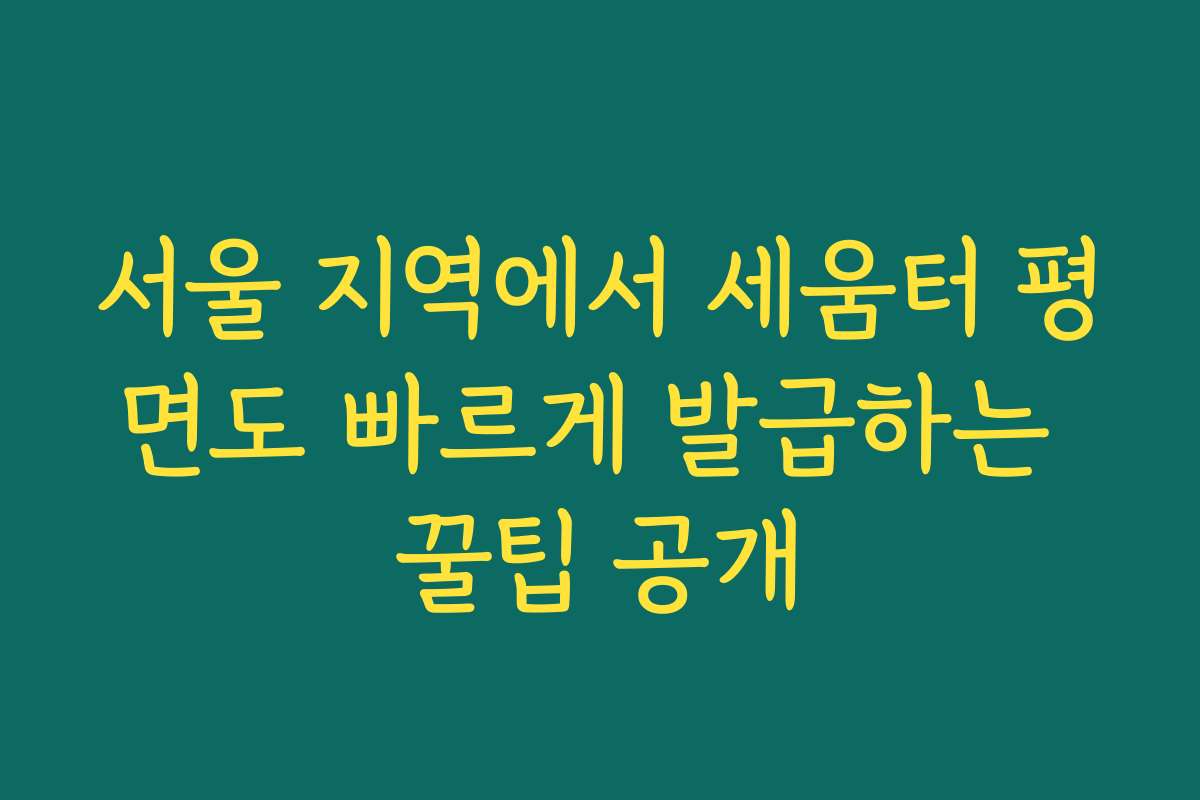 서울 지역에서 세움터 평면도 빠르게 발급하는 꿀팁 공개
