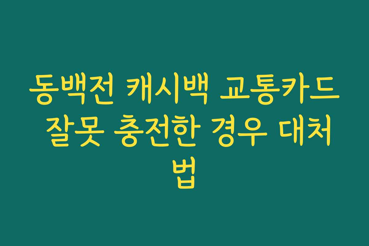 동백전 캐시백 교통카드 잘못 충전한 경우 대처법 동백전 캐시백 교통카드 잘못 충전한 경우 대처법
