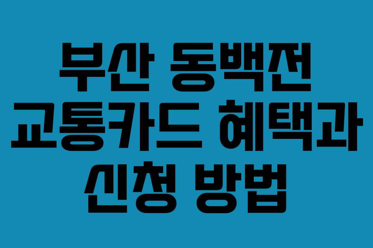 부산 동백전 교통카드 혜택과 신청 방법 부산 동백전 교통카드 혜택과 신청 방법
