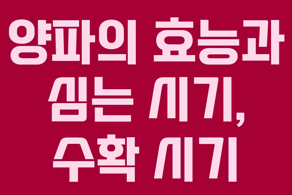 양파의 효능과 심는 시기, 수확 시기 양파의 효능과 심는 시기, 수확 시기
