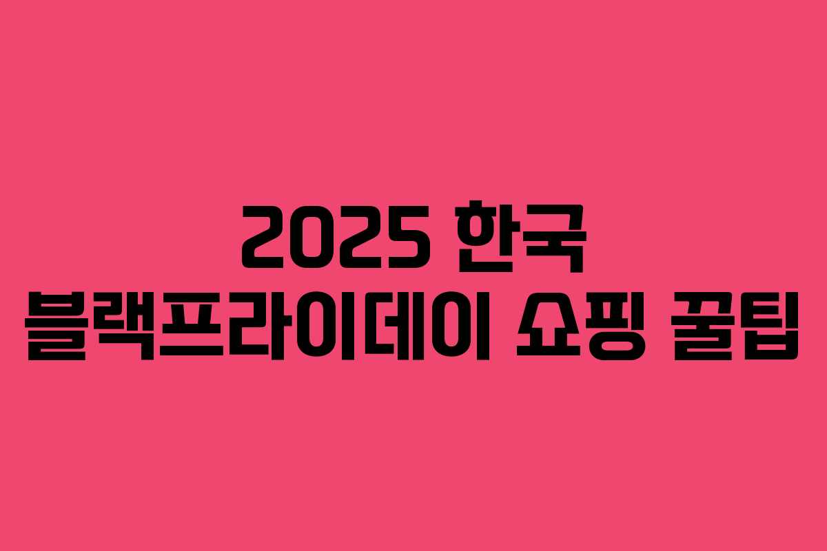 2025 한국 블랙프라이데이 쇼핑 꿀팁 2025 한국 블랙프라이데이 쇼핑 꿀팁