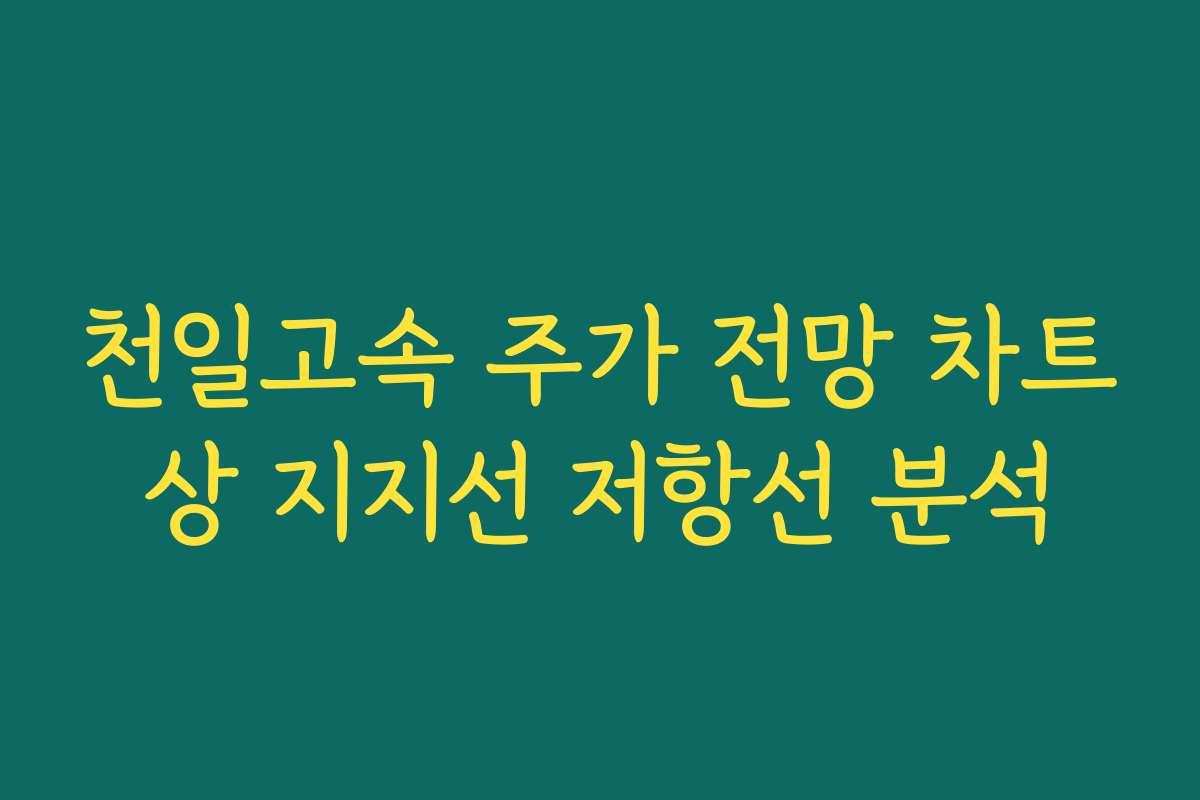 천일고속 주가 전망 차트상 지지선 저항선 분석