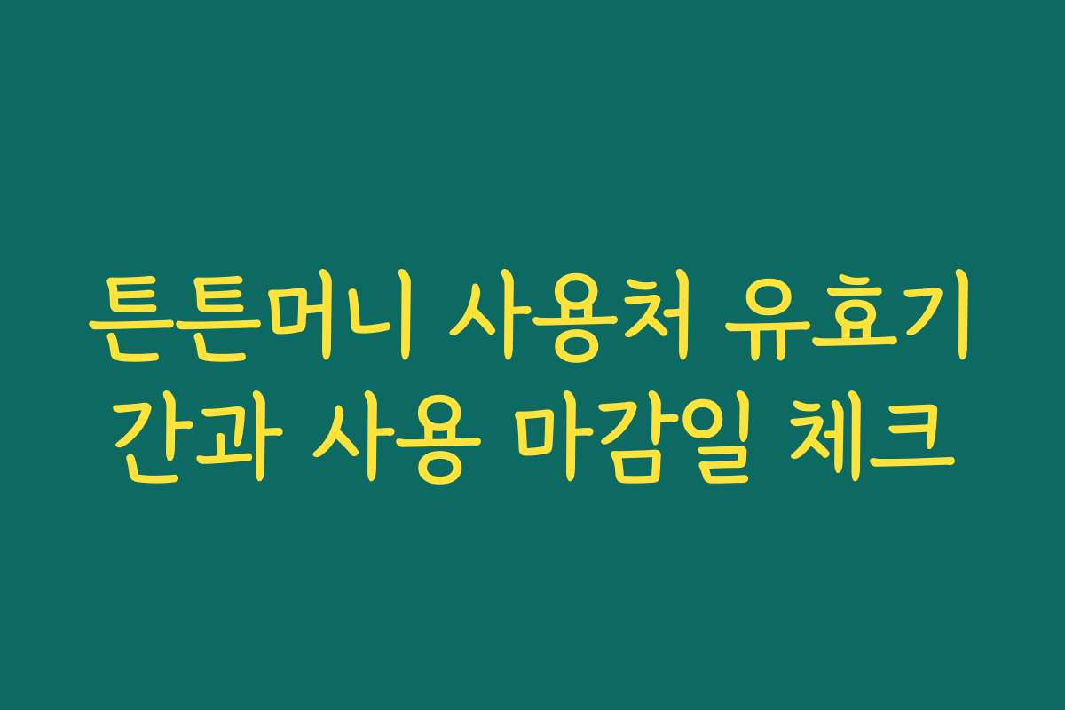 튼튼머니 사용처 유효기간과 사용 마감일 체크