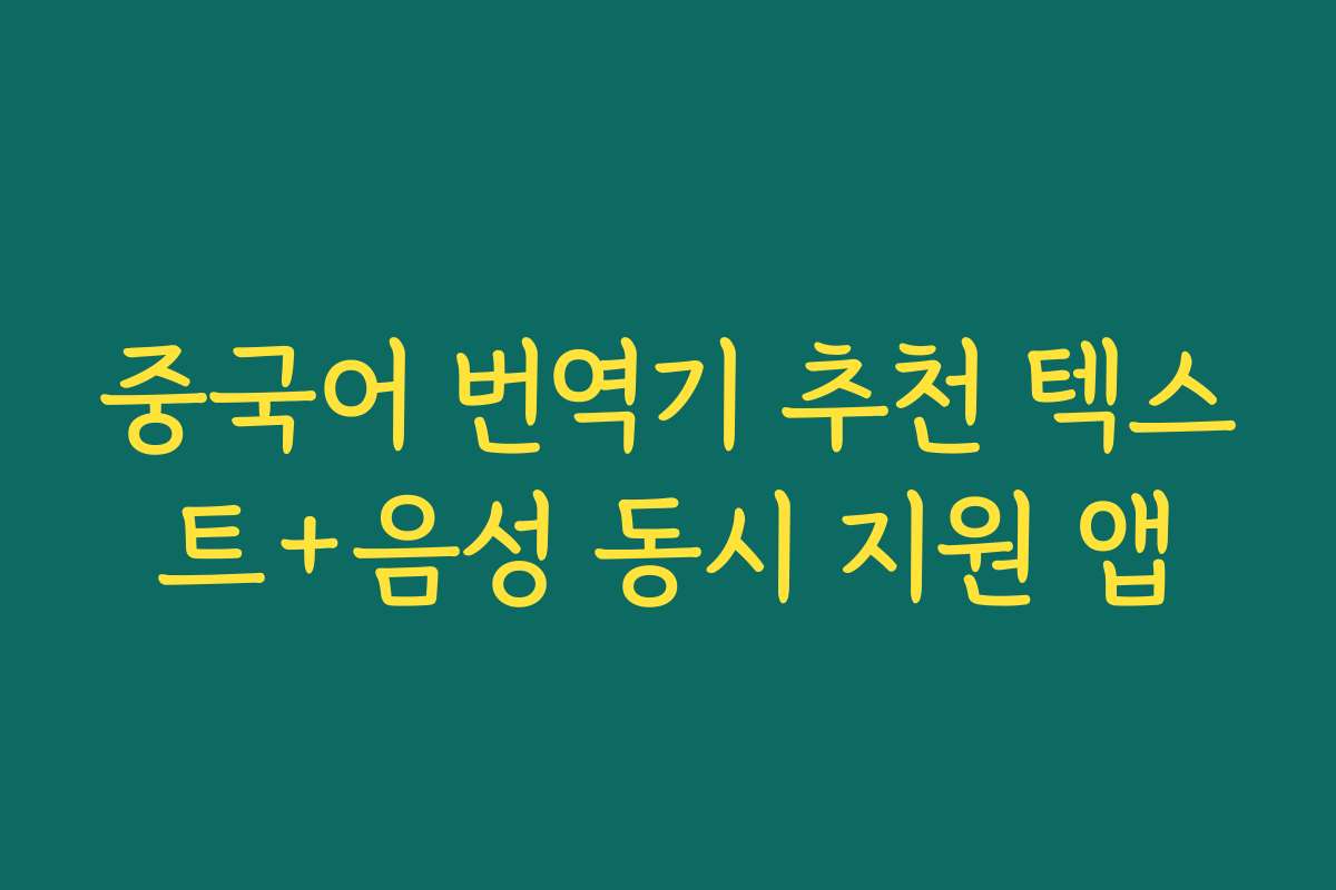 중국어 번역기 추천 텍스트+음성 동시 지원 앱