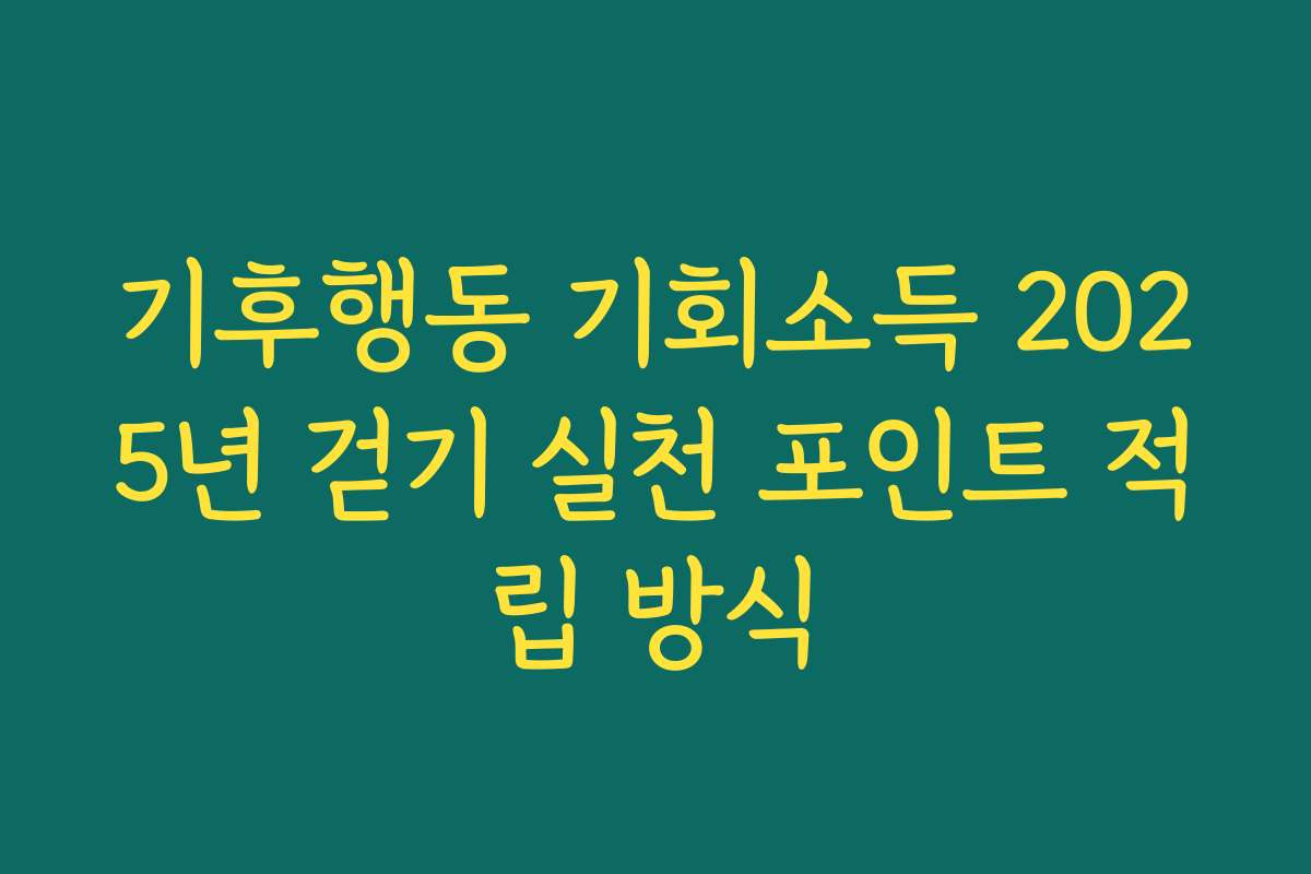 기후행동 기회소득 2025년 걷기 실천 포인트 적립 방식
