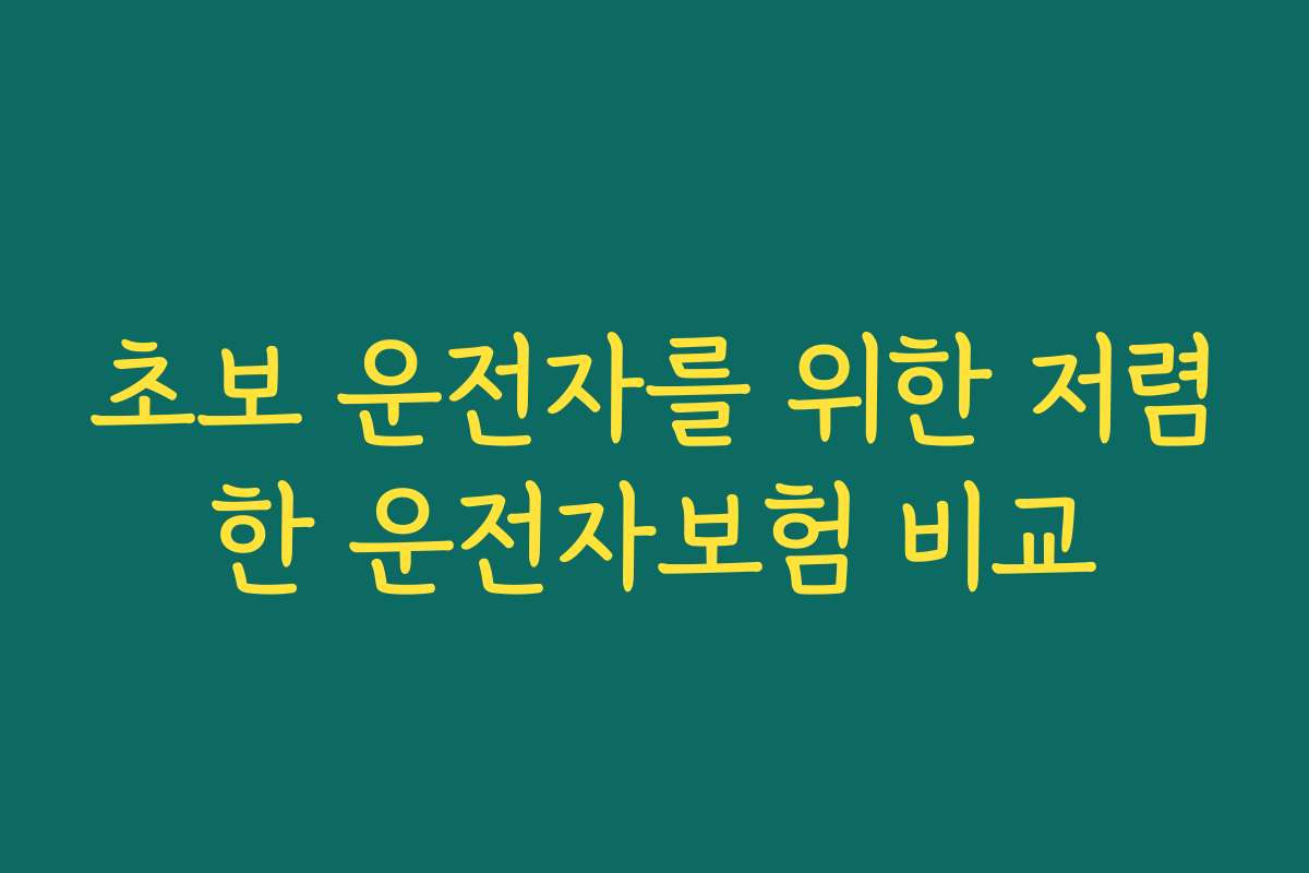 초보 운전자를 위한 저렴한 운전자보험 비교