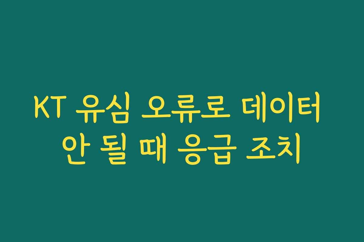 KT 유심 오류로 데이터 안 될 때 응급 조치