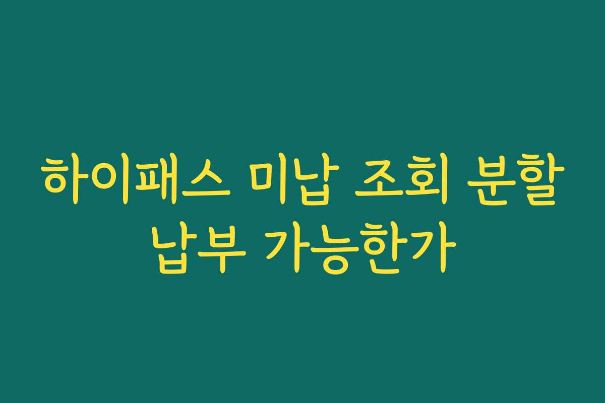 하이패스 미납 조회 분할납부 가능한가