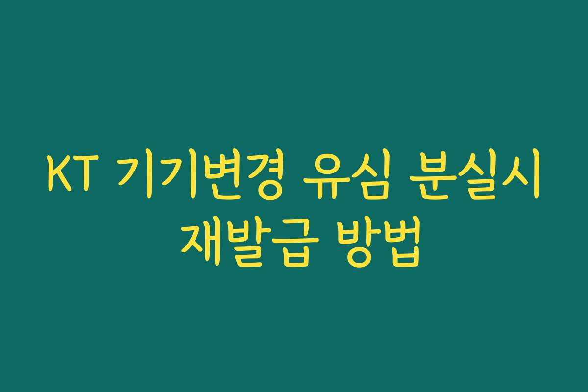 KT 기기변경 유심 분실시 재발급 방법