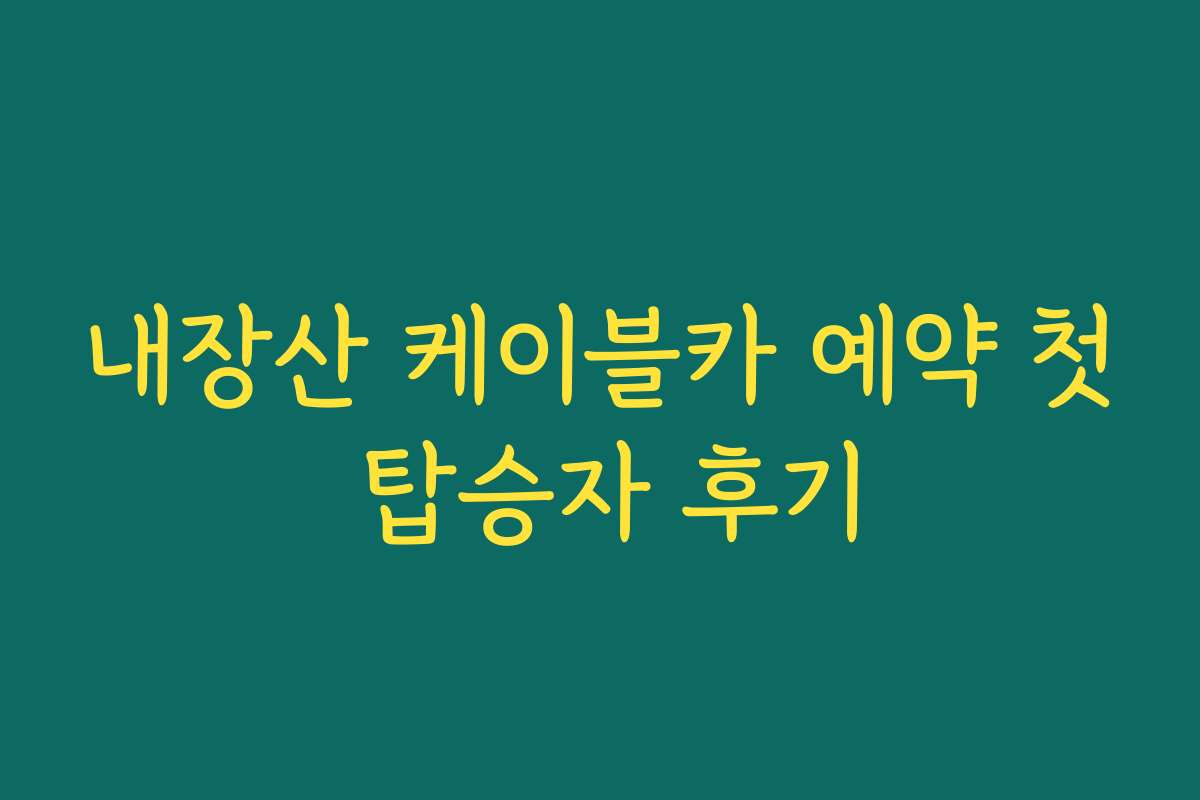 내장산 케이블카 예약 첫 탑승자 후기