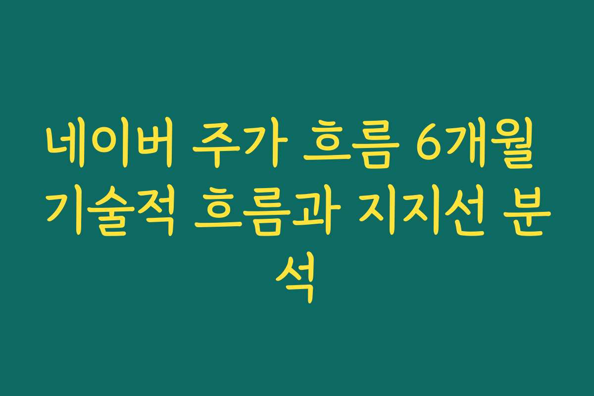 네이버 주가 흐름 6개월 기술적 흐름과 지지선 분석