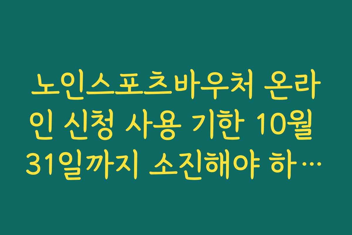 노인스포츠바우처 온라인 신청 사용 기한 10월 31일까지 소진해야 하는 이유와 관리 전략