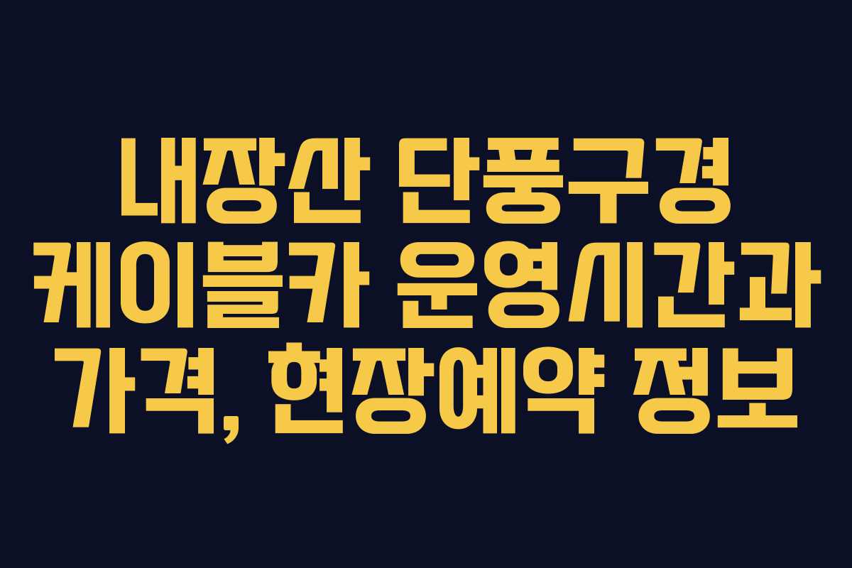 내장산 단풍구경 케이블카 운영시간과 가격, 현장예약 정보