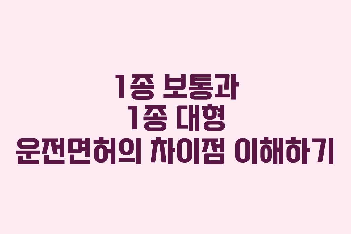 1종 보통과 1종 대형 운전면허의 차이점 이해하기