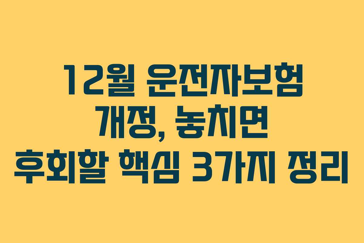 12월 운전자보험 개정, 놓치면 후회할 핵심 3가지 정리