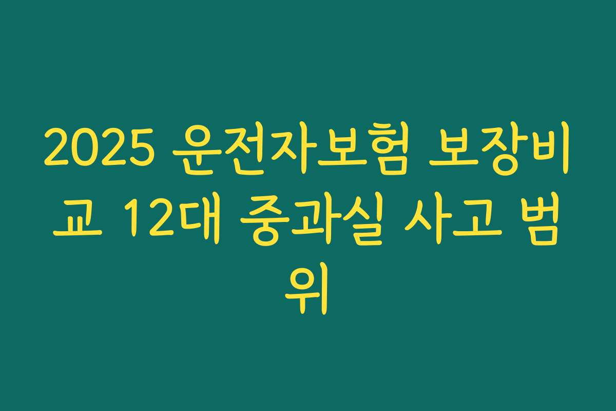 2025 운전자보험 보장비교 12대 중과실 사고 범위