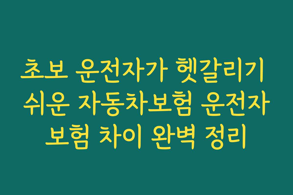 초보 운전자가 헷갈리기 쉬운 자동차보험 운전자보험 차이 완벽 정리