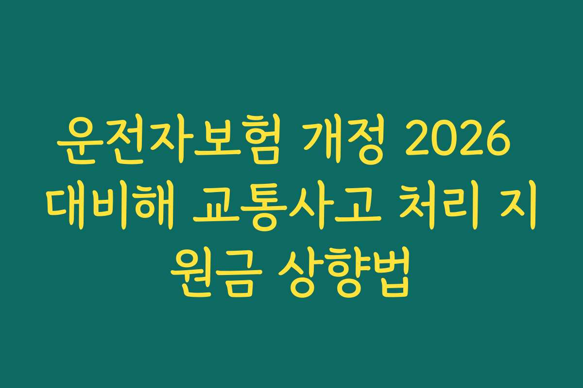 운전자보험 개정 2026 대비해 교통사고 처리 지원금 상향법