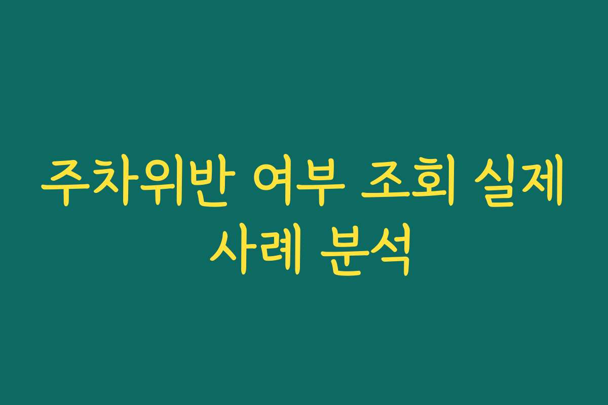 주차위반 여부 조회 실제 사례 분석